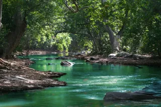 Wildlife Travel Guide