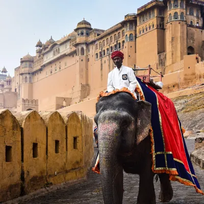 Jhansi Fort: A historical fort famous for its role in the 1857 Indian Rebellion, offering a great combination of history and panoramic views.