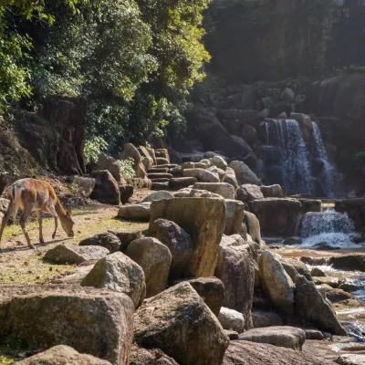 Dudhwa National Park:Situated on the Nepal border, it’s home to tigers, rhinos, and elephants. Ideal for a wildlife gallery, capturing the rich flora and fauna of Uttar Pradesh.