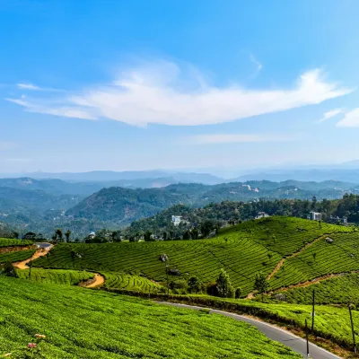 Munnar: Famous for its lush tea gardens, misty hills, and cool climate.