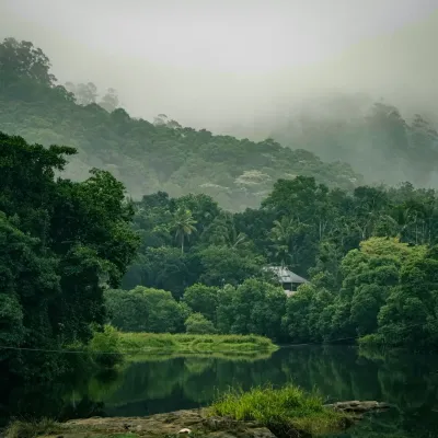 Thekkady: Home to Periyar Wildlife Sanctuary, perfect for nature lovers and wildlife safaris.