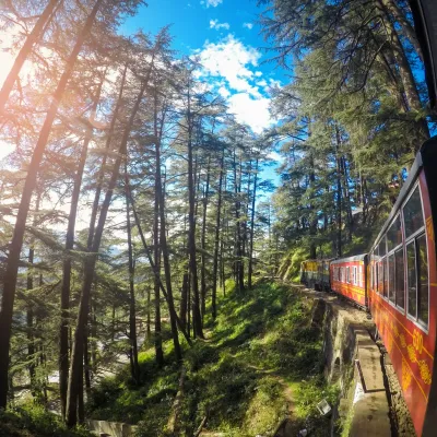 Shimla: The Queen of Hills, where colonial charm meets mountain magic.