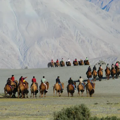 Nubra Valley :Leh District "A desert among snow-capped peaks."