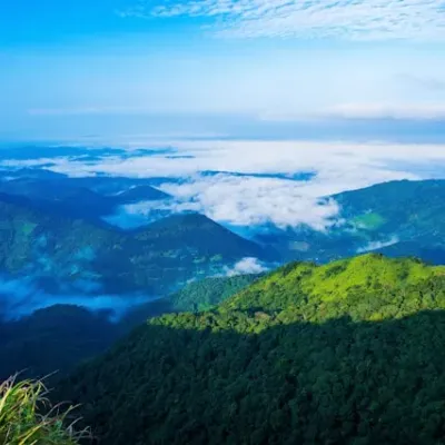 Pullikkanam - Elappara Road, Vagamon, Kerala, India
