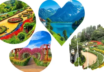 Bangalore Mysore Coorg Ooty Kodaikanal Tour