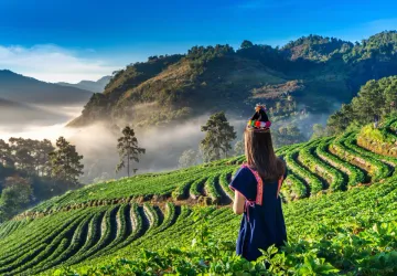 Kerala Village Tour from Cochin