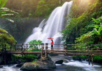 Munnar Alleppey Cochin Tour Package