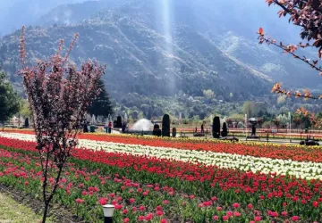 Kashmir with Gurez Valley Tour Package