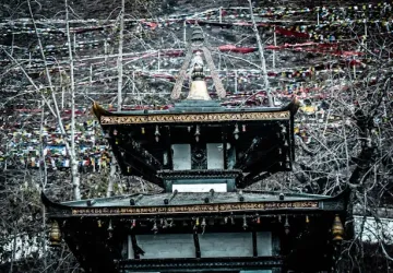 Muktinath Yatra and Janakpur Tour
