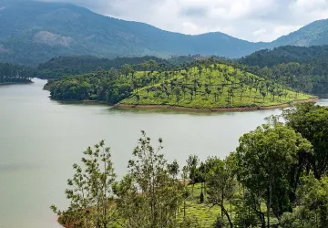 Kochi Munnar Thekkady Tour Package
