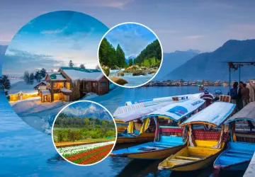 Kashmir Family Tour Package from Srinagar