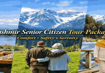 Kashmir Senior Citizen Tour Package