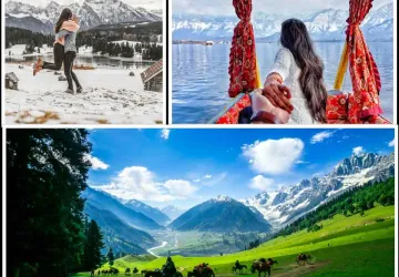 Kashmir Honeymoon Tour Package
